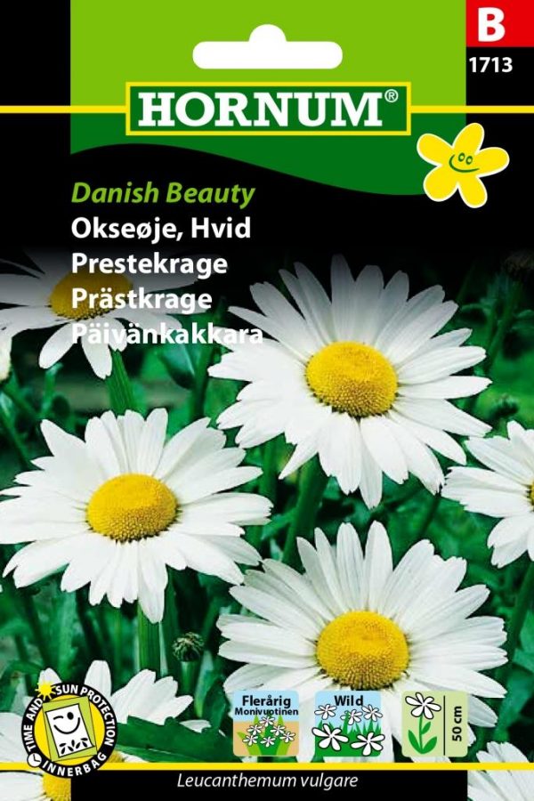 Päivänkakkara Danish Beauty