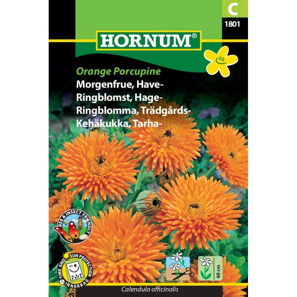 Tarhakehäkukka Orange Porcupine