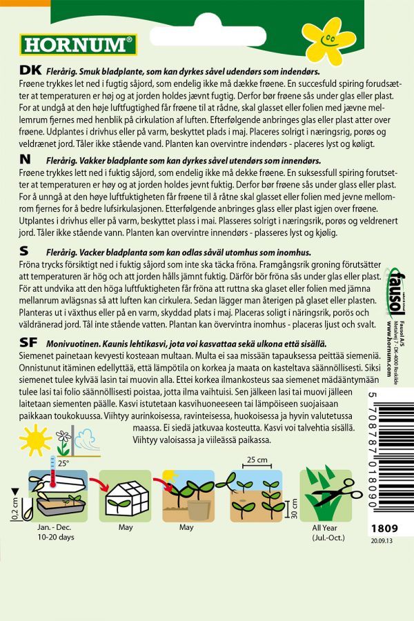 Stevia - Image 2