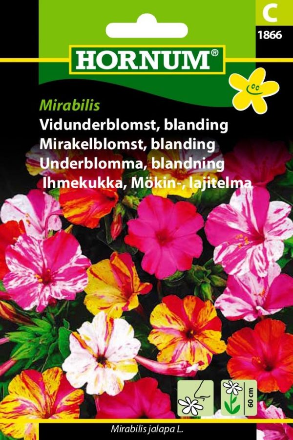 Mökinihmekukka, Lajitelma