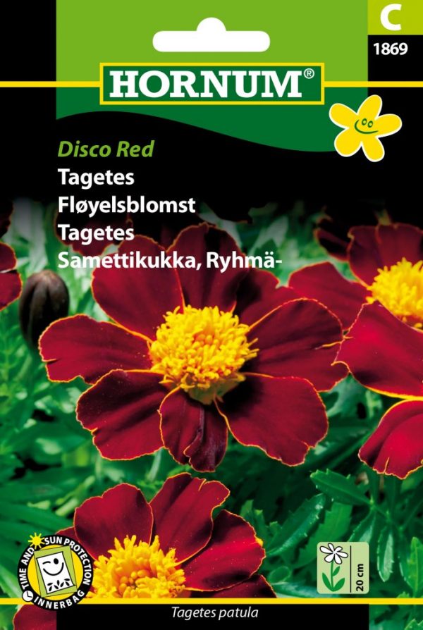 Ryhmäsamettikukka Disco Red