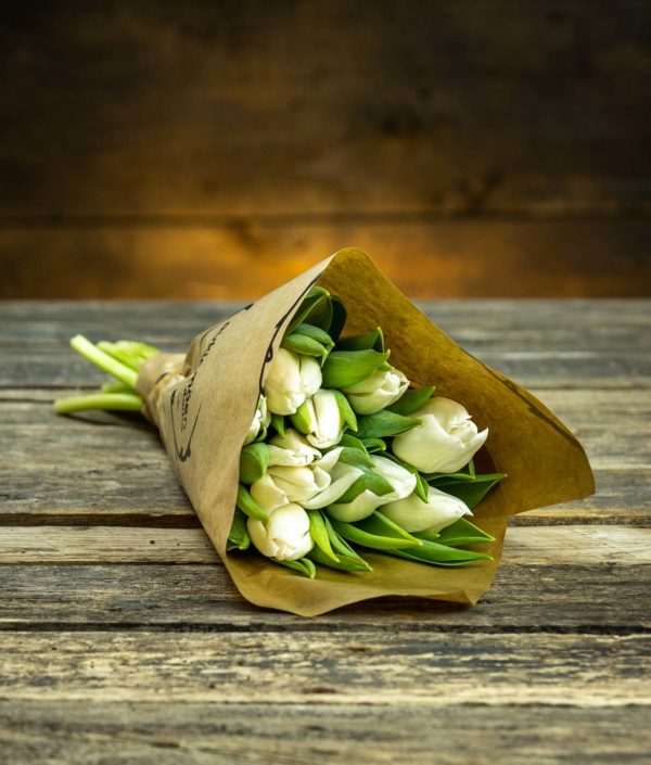 Valkoiset tulppaanit