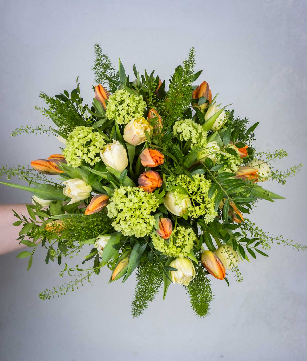 tulppaanikumppu kotimaisista tulppaaneista