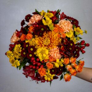 Ambre- syyskimppu