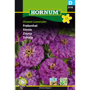 Tsinnia Dream Lavender, siemenpussi