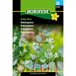 Eucalyptus Baby Blue, siemenpussi