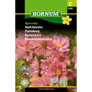 Kosmoskukka Apricotta, siemenpussi