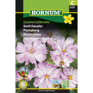 Kosmoskukka Cosimo Collarette, siemenpussi