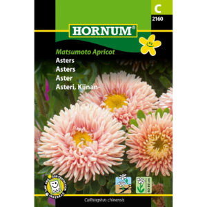 Kiinanasteri Matsumoto Apricot, siemenpussi