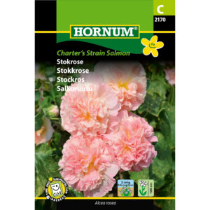 Salkoruusu Charter´S Strain Salmon, siemenpussi