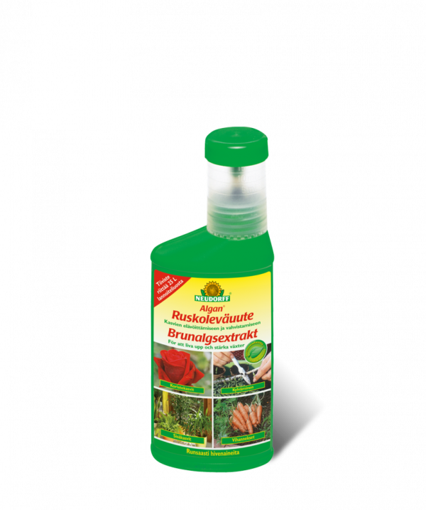 Algan Ruskoleväuute 250 ml