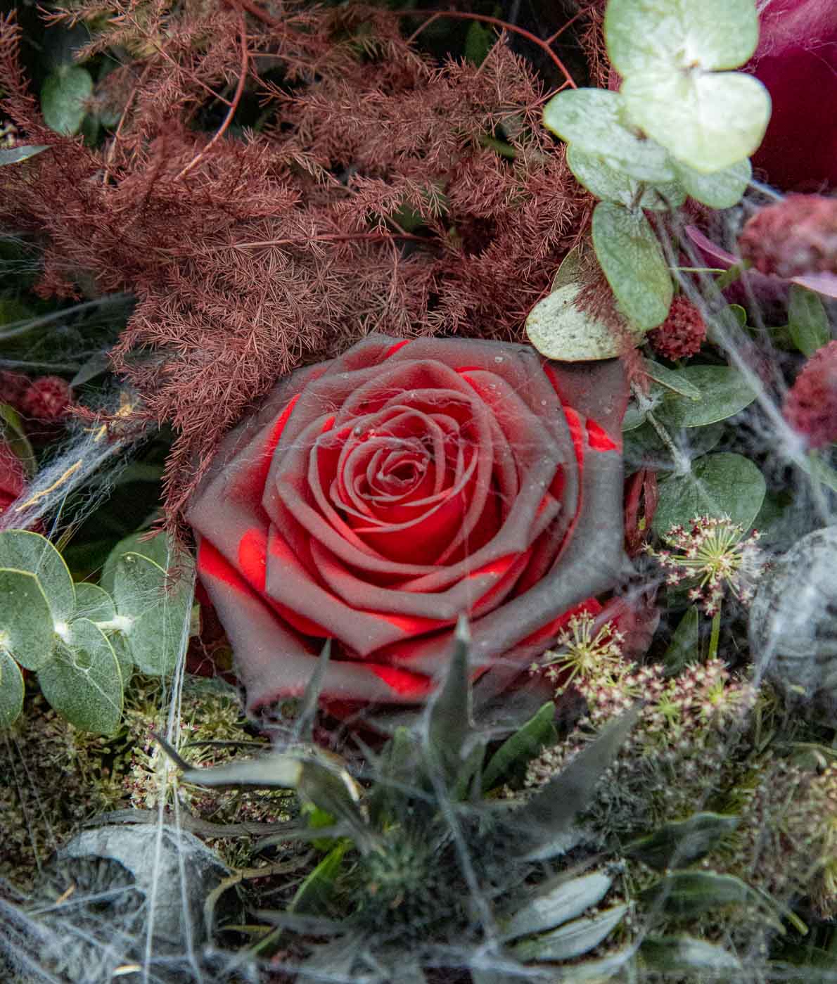 Bloody Halloween - Image 2