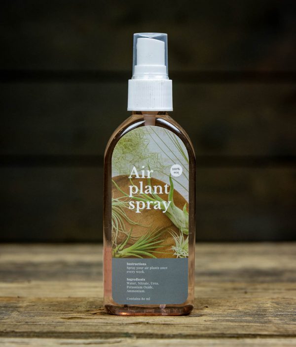 Ilmakasvien Hoitospray