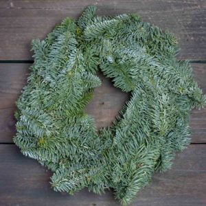 Alternative view of Jalokuusikranssi