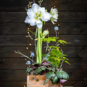 Jouluasetelma Metsätonttu