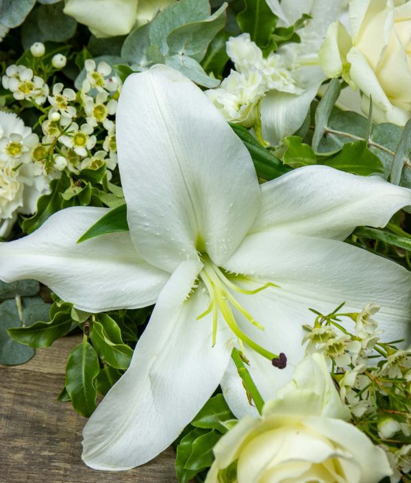 valkoisia kukkia