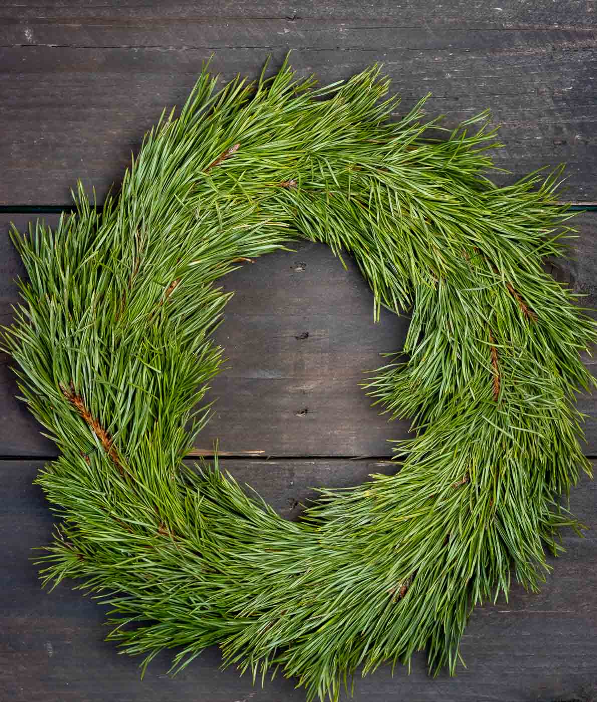 Vihreä ja pitkäneulasinen aito mäntykranssi kuvattuna tummaa puutaustaa vasten.