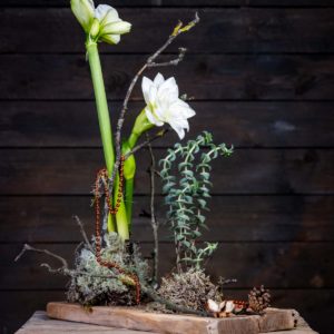 luonnonmukainen mehikasviasetelma