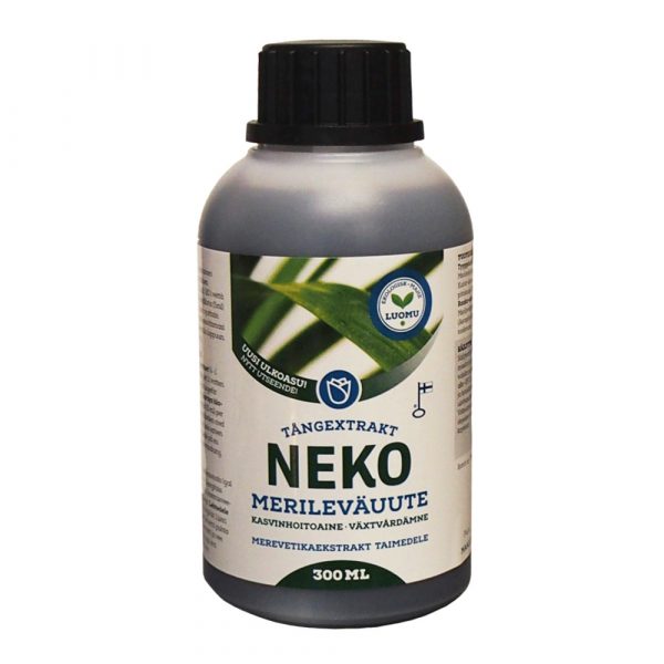 Neko Merileväuute