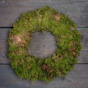 Vehreä ja tuuhea sammalkranssi kuvattuna tummaa puutaustaa vasten.