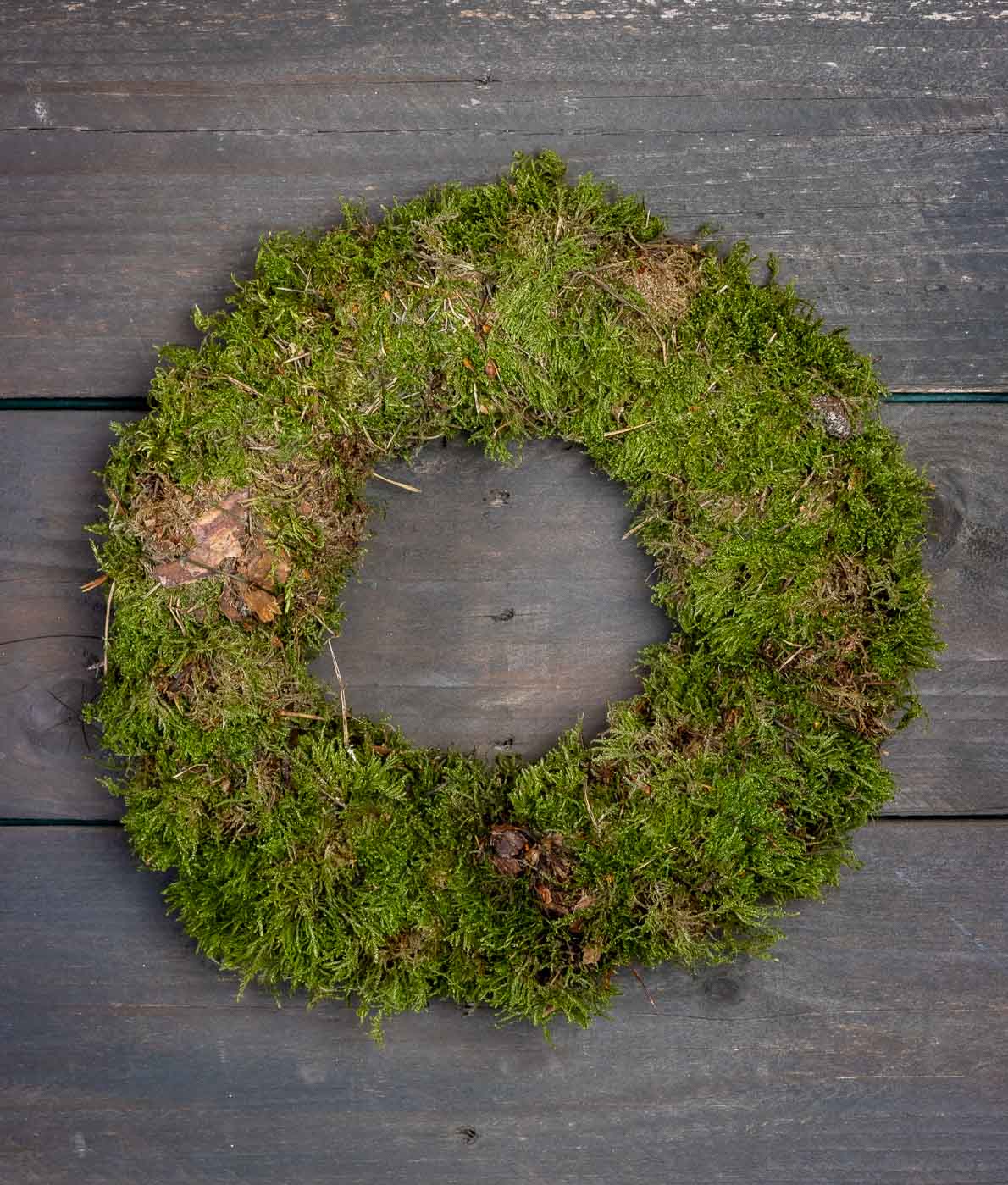 Vehreä ja tuuhea sammalkranssi kuvattuna tummaa puutaustaa vasten.