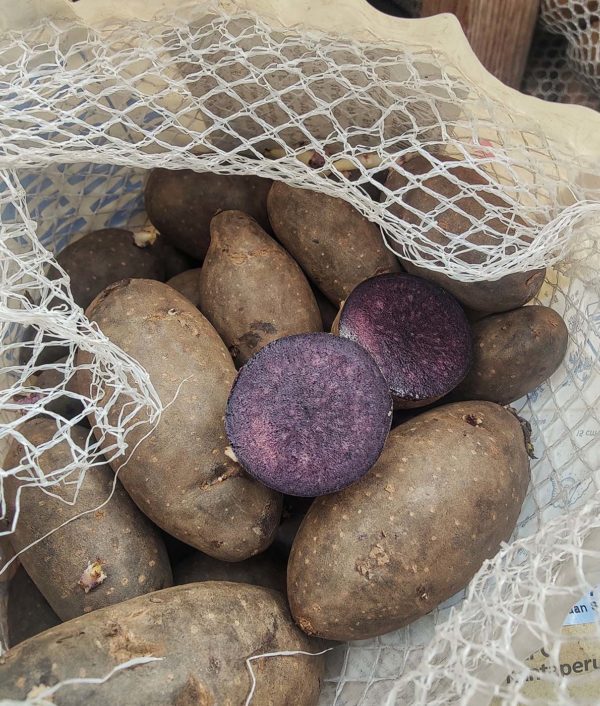 Siemenperuna Violet Queen 1 kg
