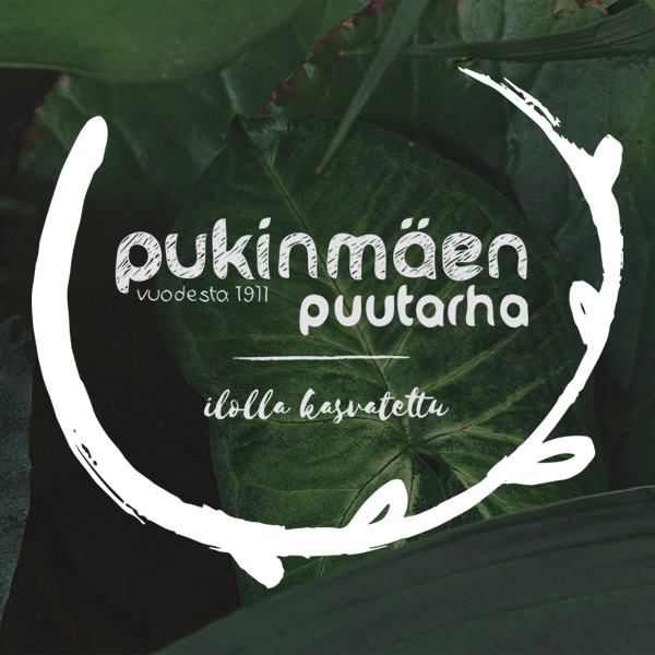 Odottaa tuotekuvaa