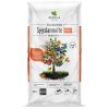 syyslannoite puutarhaan
